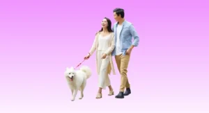 เมืองไทย แฮปปี้ รีเทิร์น 99/9