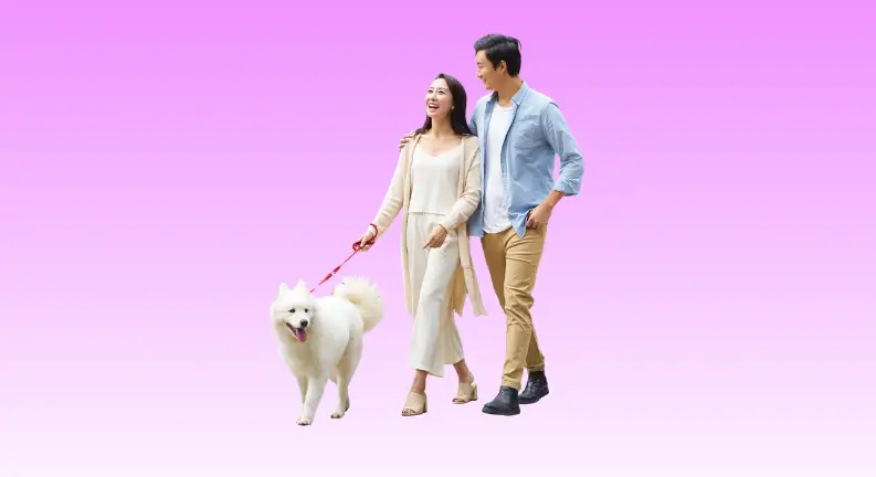 เมืองไทย แฮปปี้ รีเทิร์น 99/9