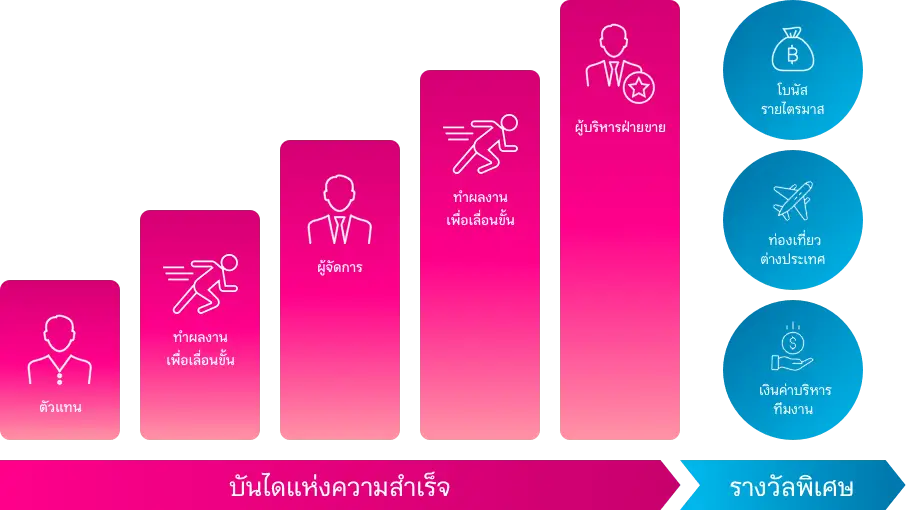 กราฟเส้นทางการเติบโตในสายอาชีพตัวแทน เมืองไทยประกันชีวิต